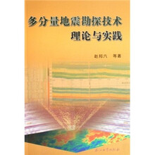 多分量地震勘探技术理论与实践