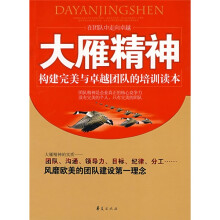 大雁精神:在团队中走向卓越