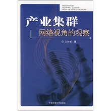 产业集群：网络视角的观察