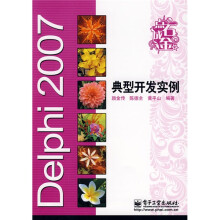 点石成金：Delphi 2007典型开发实例