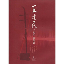 王建民二胡作品选集