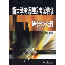 新大学英语四级考试特训:语法分册
