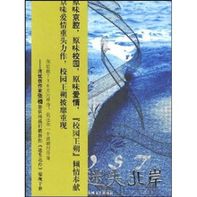 迷失北岸