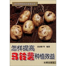 怎样提高马铃薯种植效益