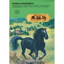世界动物小说经典品藏系列：黑骏马