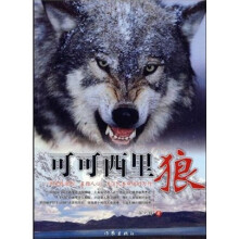 可可西里狼