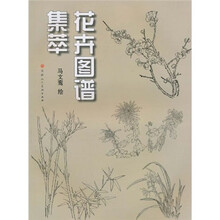 花卉图谱集萃