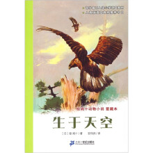 椋鸠十动物小说·爱藏本：生于天空