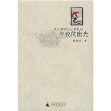 午夜的幽光：关于知识分子的札记