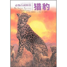 动物百科图鉴：猎豹