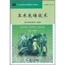 玉米栽培技术