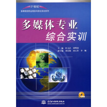 21世纪高等院校职业规划与综合实训系列：多媒体专业综合实训（附CD光盘1张）