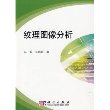 纹理图像分析