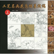 工笔名画花鸟描摹线稿（上）
