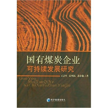 国有煤炭企业可持续发展研究