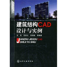 建筑结构CAD设计与实例