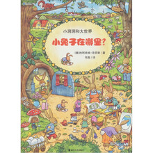 小洞洞和大世界:小兔子在哪里