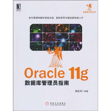 Oracle11g数据库管理员指南