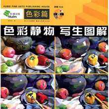 阶梯训练：色彩静物写生图解（色彩篇）（附光盘）