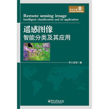 遥感图像智能分类及其应用