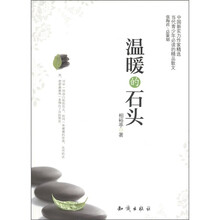 中国新实力作家精选：温暖的石头