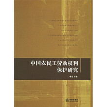 中国农民工劳动权利保护研究
