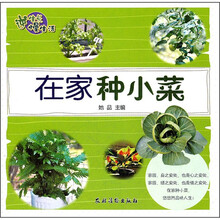 在家种小菜(逆生长慢生活)