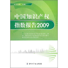 中国知识产权指数报告2009