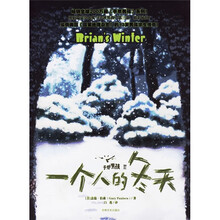 手斧男孩3：一个人的冬天