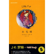 小毛球
