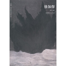 “无境”当代青年艺术家丛书:徐加存