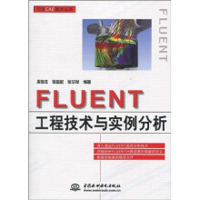 FLUENT工程技术与实例分析