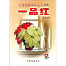 一品红
