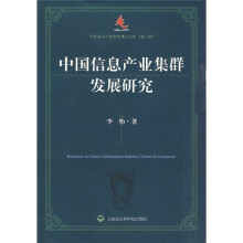 中国信息产业集群发展研究