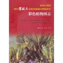 金沙江河谷四川攀枝花苏铁国家级自然保护区彩色植物图志