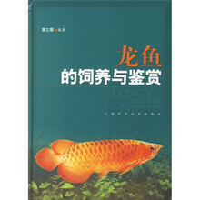 龙鱼的饲养与鉴赏