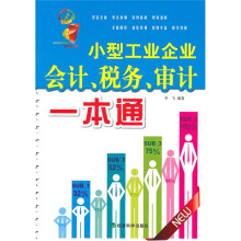 小型工业企业会计、税务、审计一本通