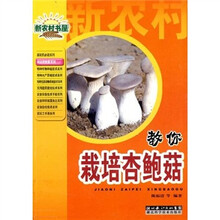 教你栽培杏鲍菇