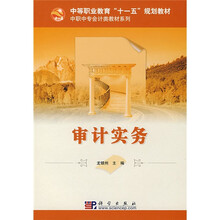 中等职业教育“十一五”规划教材·中职中专会计类教材系列：审计实务