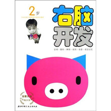 全新升级左右脑开发系列：右脑开发（2岁）