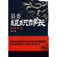 县委组织部长2：机关纵横