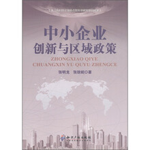 中小企业创新与区域政策