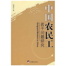 中国农民工若干问题研究