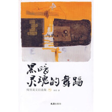 黑暗灵魂的舞蹈：残雪美文自选集
