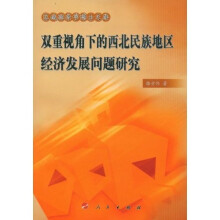 双重视角下的西北民族地区经济发展问题研究