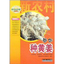 教你种黄姜