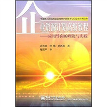 企业资源计划高级教程：应用导向的理论与实践