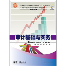 审计基础与实务