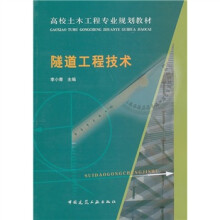 高校土木工程专业规划教材：隧道工程技术