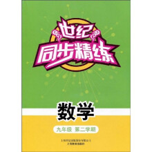 世纪同步精练·数学:9年级第2学期